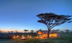 Serengeti-Guest-Room4.jpg