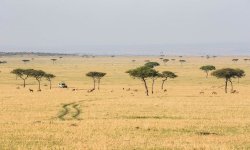 Legendary Expeditions - Tanzania 
