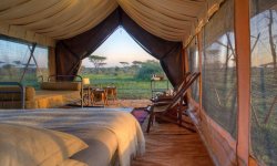 Serengeti-Guest-Room6.jpg