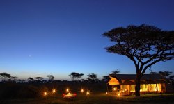 Serengeti-Guest-Room9.jpg