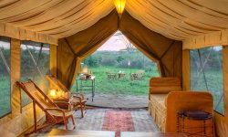 Serengeti-Guest-Room1.jpg