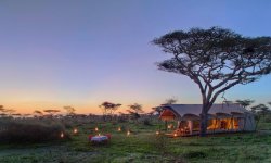 Serengeti-Guest-Room5.jpg