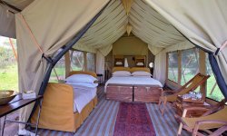 Serengeti-Guest-Room2.jpg